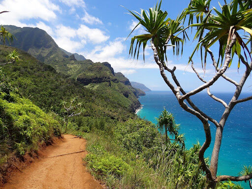 7 Activities to Add to Your Hawaii Travel Itinerary